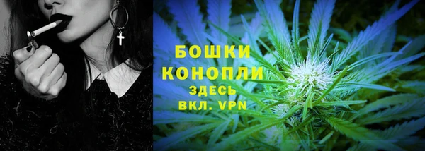 ПСИЛОЦИБИНОВЫЕ ГРИБЫ Зеленодольск