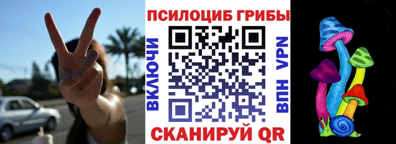 закладка  Воскресенск  Галлюциногенные грибы Psilocybe 